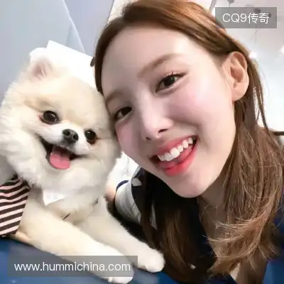 滑鹤迅